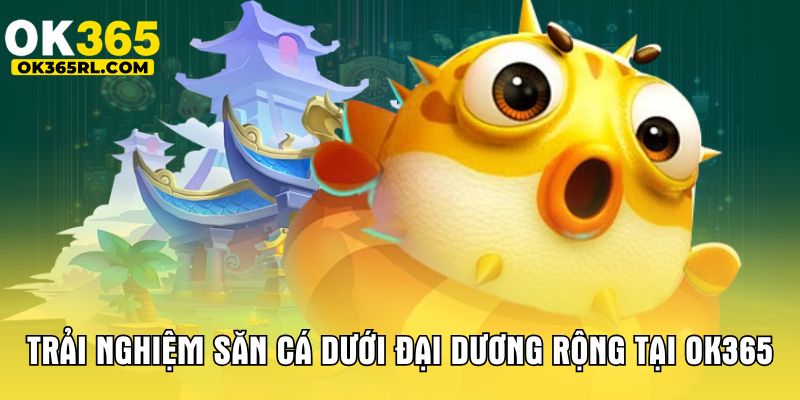 Trải nghiệm săn cá dưới đại dương rộng tại OK365 Trải nghiệm săn cá dưới đại dương rộng tại OK365